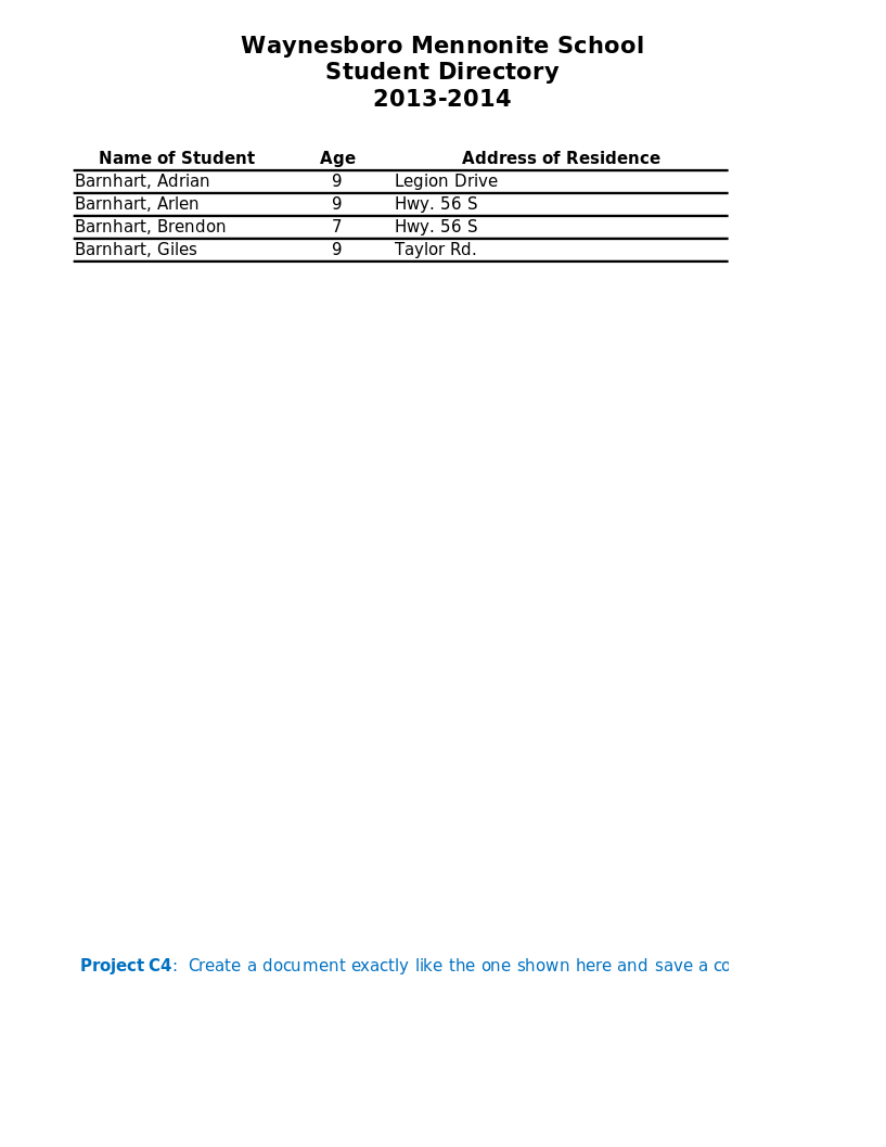 student ms excel practical assignment